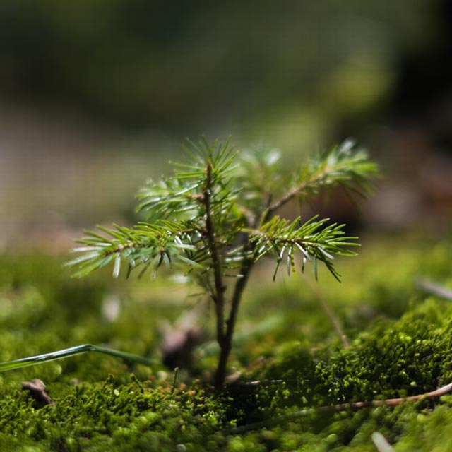 Działania proekologiczne